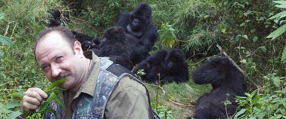 Gorilla Habituation in Uganda | Uganda Gorilla Safari Tours