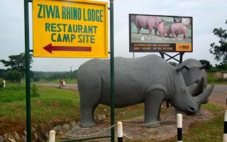 10 Days Best of Uganda safari