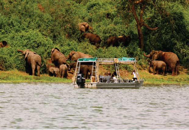 Boat Cruise in Lake Mburo national park
