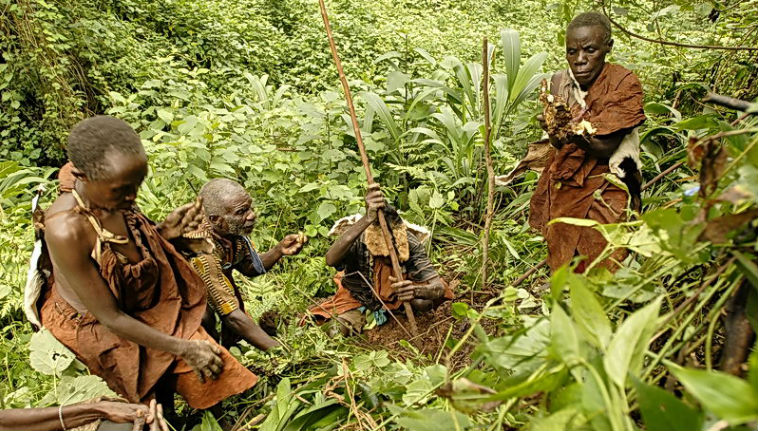 The Batwa people and their history