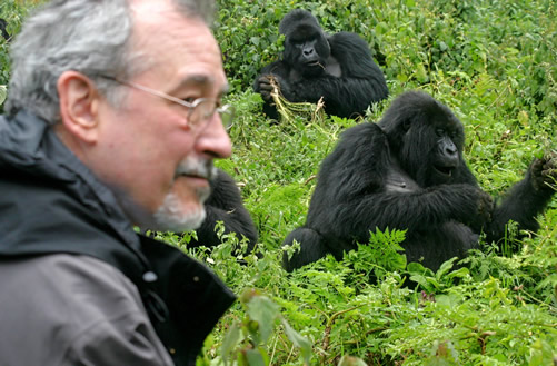 Comparing Gorilla Trekking in Bwindi and Mgahinga Gorilla National Park