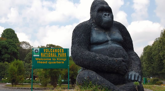Why Visit Rwanda Volcanoes National Park
