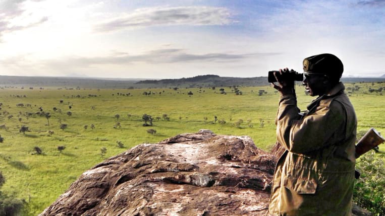Top 5 safari activities to do in Uganda