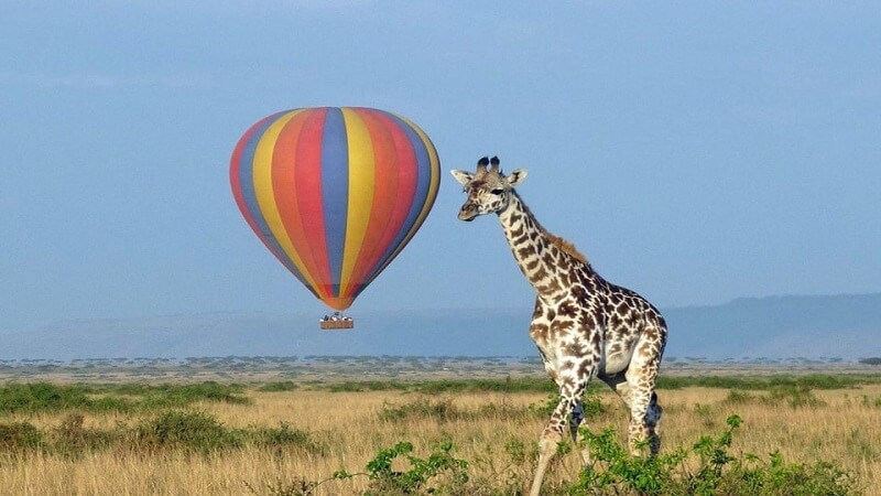 Hot Air Balloon Murchison Falls Tours