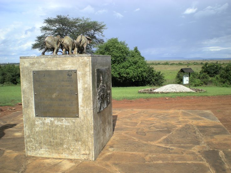 Attractions In Nairobi National Park