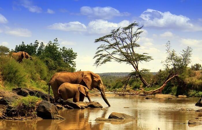 Attractions In Amboseli National Park
