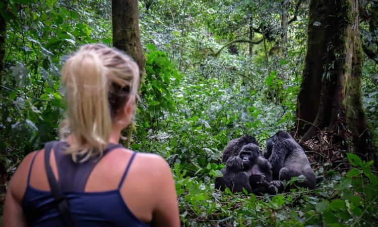 Tips To Make Your Gorilla Trekking More Adventurous 